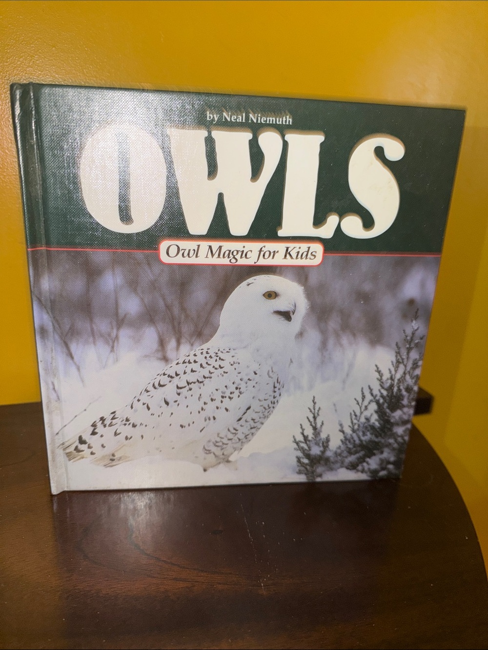 OWLS: Owl Magic for Kids - White Hardcover Book